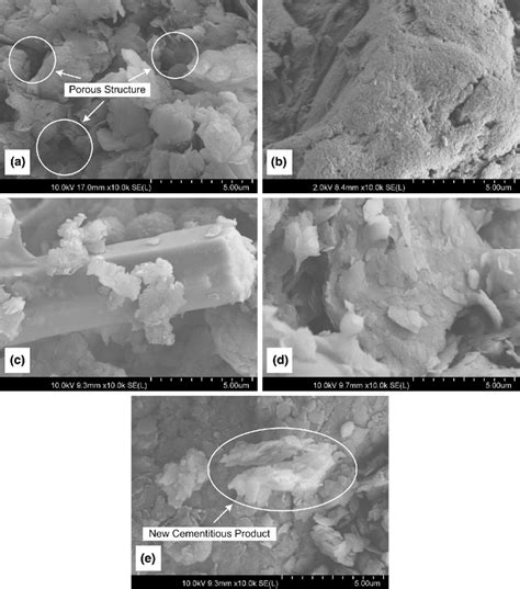 xanthan gum treated loess